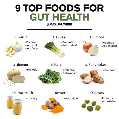 Best Foods for Gut Health